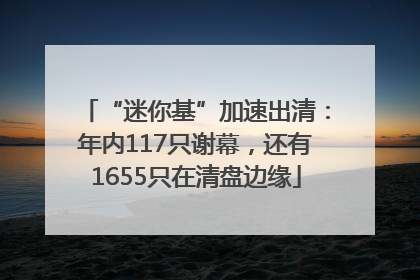 “迷你基”加速出清：年内117只谢幕，还有1655只在清盘边缘