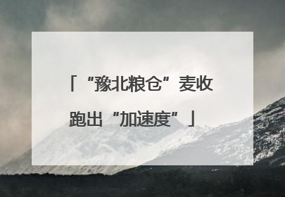 “豫北粮仓”麦收跑出“加速度”