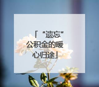 “遗忘”公积金的暖心归途