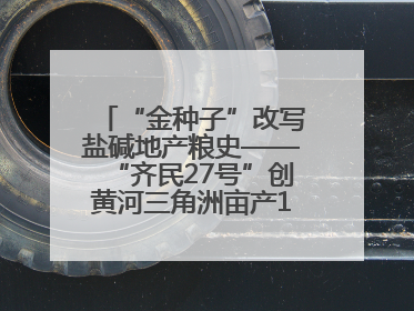 “金种子”改写盐碱地产粮史——“齐民27号”创黄河三角洲亩产1200斤奇迹