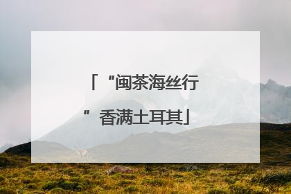 “闽茶海丝行”香满土耳其