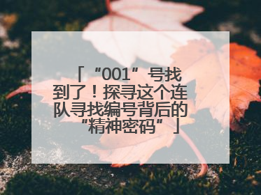 “001”号找到了！探寻这个连队寻找编号背后的“精神密码”