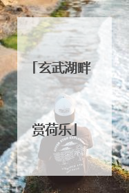 玄武湖畔赏荷乐