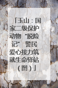 玉山：国家二级保护动物“脱险记” 警民爱心接力筑就生命驿站（图）