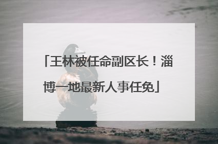 王林被任命副区长！淄博一地最新人事任免