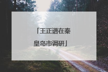 王正谱在秦皇岛市调研