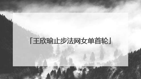 王欣瑜止步法网女单首轮