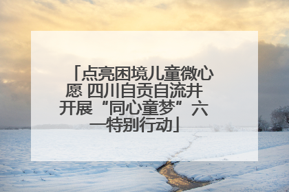 点亮困境儿童微心愿 四川自贡自流井开展“同心童梦”六一特别行动