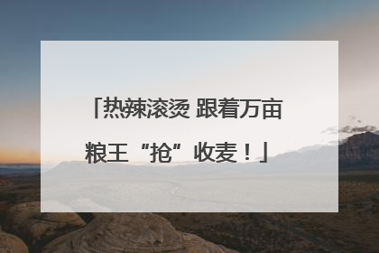 热辣滚烫 跟着万亩粮王“抢”收麦！