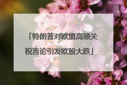 特朗普对欧盟高额关税言论引发欧股大跌