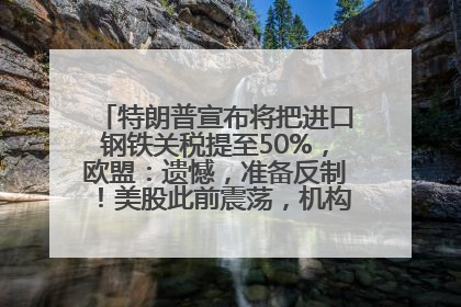 特朗普宣布将把进口钢铁关税提至50%，欧盟：遗憾，准备反制！美股此前震荡，机构：美元正进入熊市