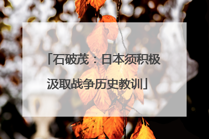 石破茂：日本须积极汲取战争历史教训
