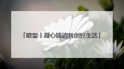 瞭望丨凝心铸边共创好生活