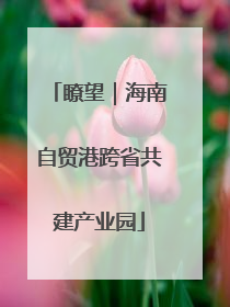 瞭望｜海南自贸港跨省共建产业园