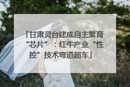 甘肃灵台建成自主繁育“芯片”：红牛产业“性控”技术弯道超车