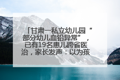 甘肃一私立幼儿园“部分幼儿血铅异常”，已有19名患儿跨省医治，家长发声：以为孩子出问题，没想过会与学校有关