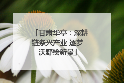 甘肃华亭：深耕链条兴产业 逐梦沃野绘新景