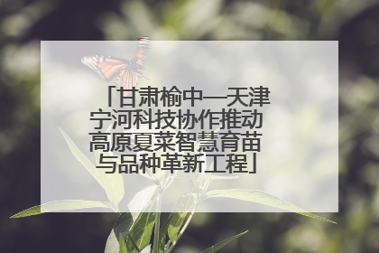 甘肃榆中—天津宁河科技协作推动高原夏菜智慧育苗与品种革新工程