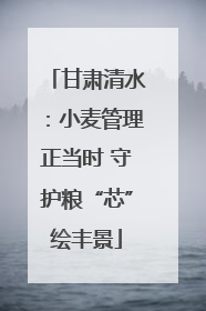 甘肃清水：小麦管理正当时 守护粮“芯”绘丰景