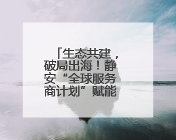生态共建，破局出海！静安“全球服务商计划”赋能电商闯世界