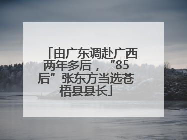 由广东调赴广西两年多后，“85后”张东方当选苍梧县县长