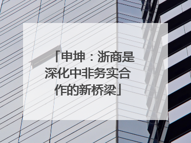 申坤：浙商是深化中非务实合作的新桥梁
