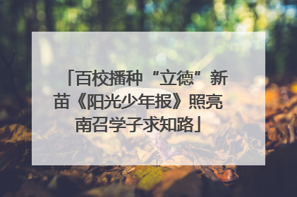 百校播种“立德”新苗《阳光少年报》照亮南召学子求知路