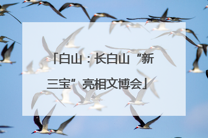 白山：长白山“新三宝”亮相文博会