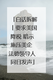 白话拆解丨要求美国降税 暗示施压美企 法德领导人同日发声