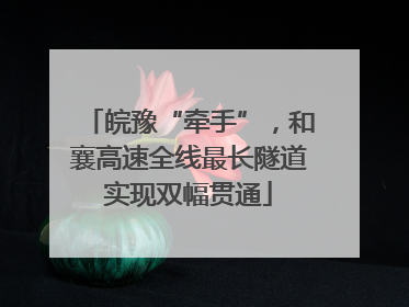 皖豫“牵手”，和襄高速全线最长隧道实现双幅贯通