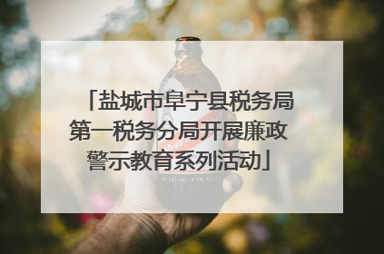 盐城市阜宁县税务局第一税务分局开展廉政警示教育系列活动