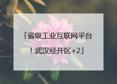 省级工业互联网平台！武汉经开区+2