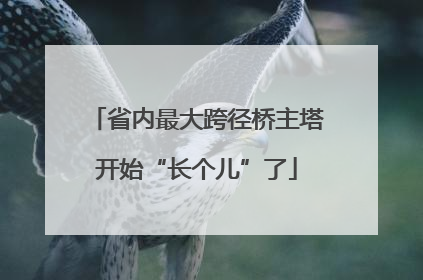 省内最大跨径桥主塔开始“长个儿”了