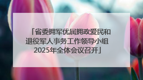 省委拥军优属拥政爱民和退役军人事务工作领导小组2025年全体会议召开