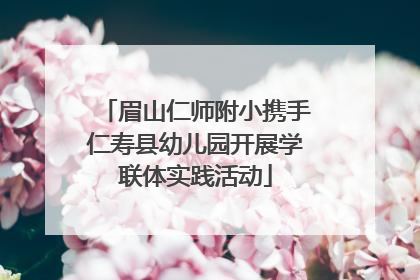 眉山仁师附小携手仁寿县幼儿园开展学联体实践活动