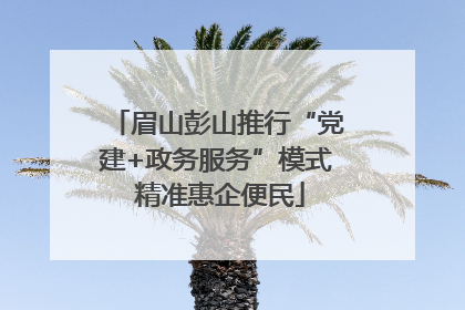 眉山彭山推行“党建+政务服务”模式 精准惠企便民