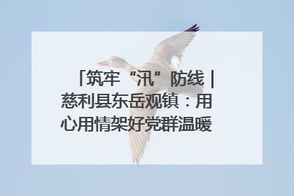 筑牢“汛”防线｜慈利县东岳观镇：用心用情架好党群温暖悠长的“连心桥”