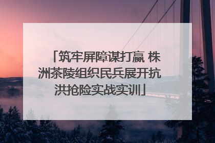 筑牢屏障谋打赢 株洲茶陵组织民兵展开抗洪抢险实战实训