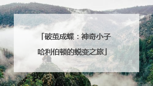 破茧成蝶：神奇小子哈利伯顿的蜕变之旅