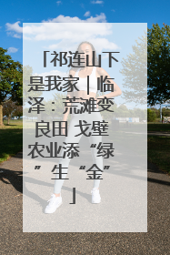 祁连山下是我家｜临泽：荒滩变良田 戈壁农业添“绿”生“金”