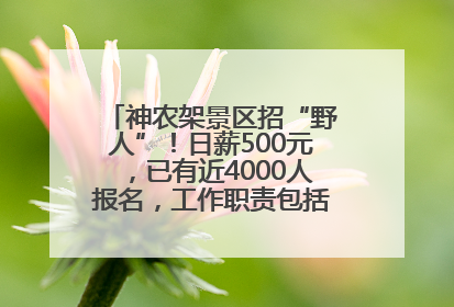 神农架景区招“野人”！日薪500元，已有近4000人报名，工作职责包括“接受游客投喂”