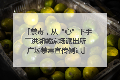 禁毒，从“心”下手――洪湖戴家场派出所广场禁毒宣传侧记