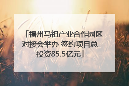 福州马祖产业合作园区对接会举办 签约项目总投资85.5亿元
