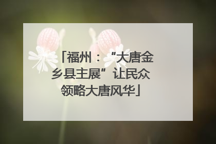福州：“大唐金乡县主展”让民众领略大唐风华