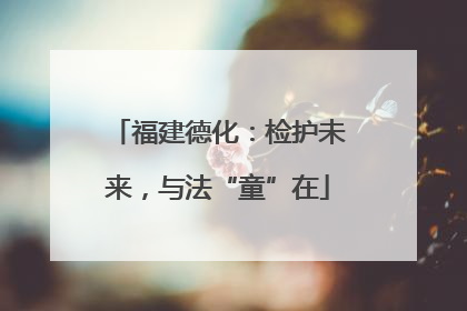 福建德化：检护未来，与法“童”在