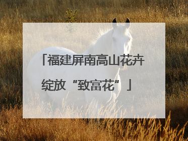 福建屏南高山花卉绽放“致富花”