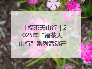 福茶天山行｜2025年“福茶天山行”系列活动在昌吉州启动