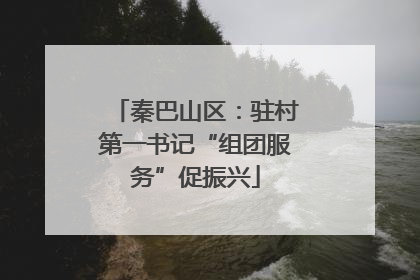 秦巴山区：驻村第一书记“组团服务”促振兴