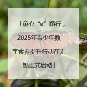 童心“e”路行，2025年青少年数字素养提升行动在无锡正式启动