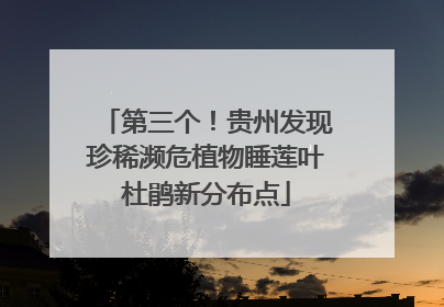 第三个！贵州发现珍稀濒危植物睡莲叶杜鹃新分布点